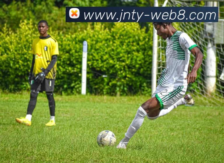 江南体育网页版平台生态图